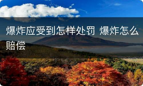 爆炸应受到怎样处罚 爆炸怎么赔偿