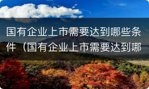 国有企业上市需要达到哪些条件（国有企业上市需要达到哪些条件才能上市）