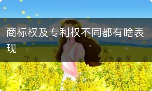 商标权及专利权不同都有啥表现