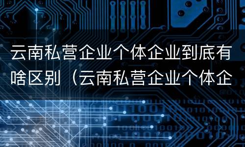 云南私营企业个体企业到底有啥区别（云南私营企业个体企业到底有啥区别呢）