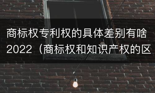 商标权专利权的具体差别有啥2022（商标权和知识产权的区别）