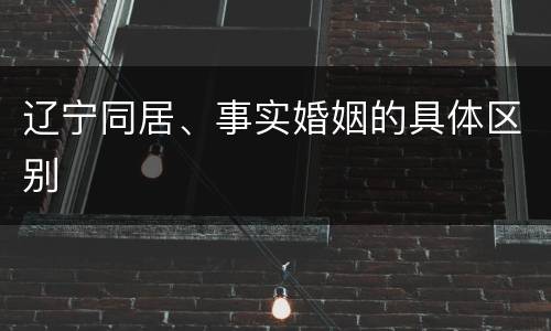 辽宁同居、事实婚姻的具体区别