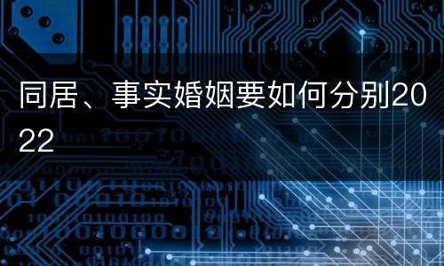 同居、事实婚姻要如何分别2022