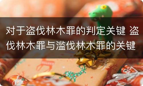 对于盗伐林木罪的判定关键 盗伐林木罪与滥伐林木罪的关键区别是