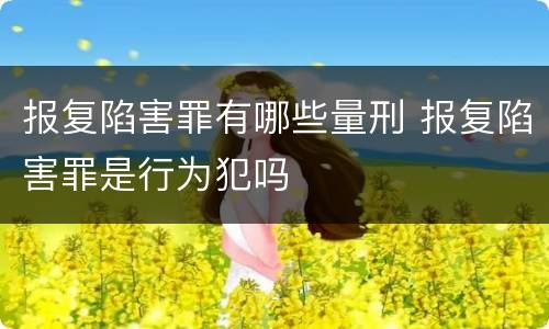 报复陷害罪有哪些量刑 报复陷害罪是行为犯吗