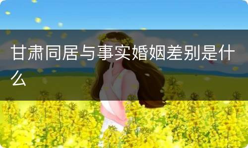 甘肃同居与事实婚姻差别是什么
