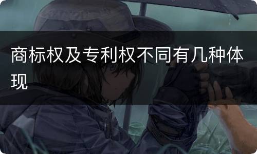 商标权及专利权不同有几种体现