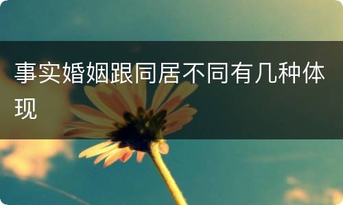 事实婚姻跟同居不同有几种体现