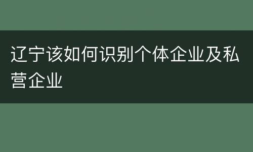 辽宁该如何识别个体企业及私营企业