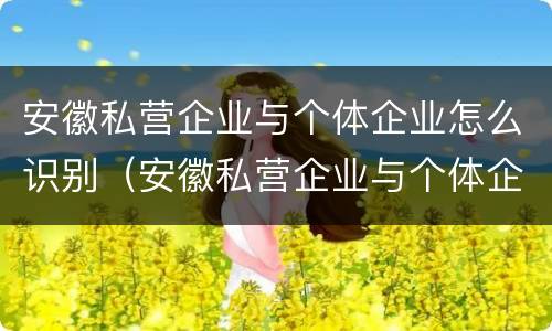 安徽私营企业与个体企业怎么识别（安徽私营企业与个体企业怎么识别关系）