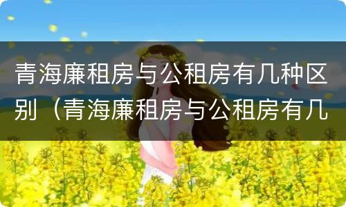 青海廉租房与公租房有几种区别（青海廉租房与公租房有几种区别呢）