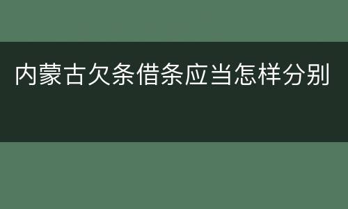 内蒙古欠条借条应当怎样分别