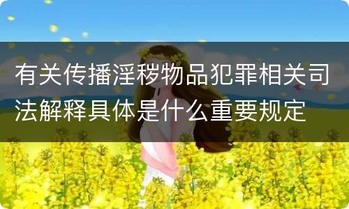 有关传播淫秽物品犯罪相关司法解释具体是什么重要规定