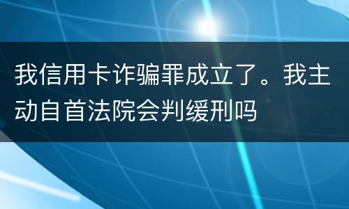 我信用卡诈骗罪成立了。我主动自首法院会判缓刑吗