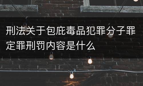 刑法关于包庇毒品犯罪分子罪定罪刑罚内容是什么