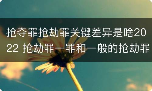 抢夺罪抢劫罪关键差异是啥2022 抢劫罪一罪和一般的抢劫罪