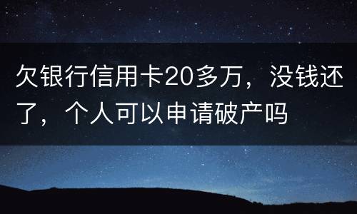 欠银行信用卡20多万，没钱还了，个人可以申请破产吗