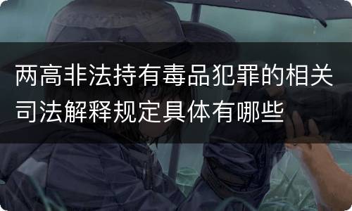 两高非法持有毒品犯罪的相关司法解释规定具体有哪些