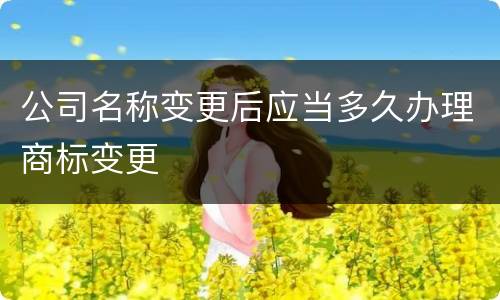 公司名称变更后应当多久办理商标变更