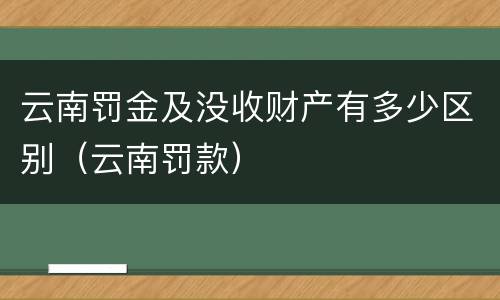 云南罚金及没收财产有多少区别（云南罚款）