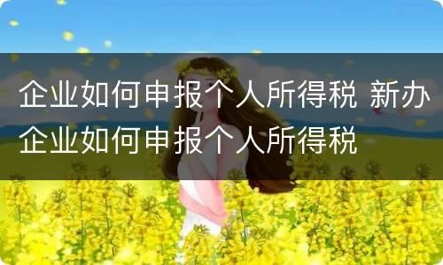 企业如何申报个人所得税 新办企业如何申报个人所得税