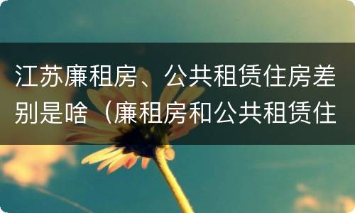 江苏廉租房、公共租赁住房差别是啥（廉租房和公共租赁住房的区别）