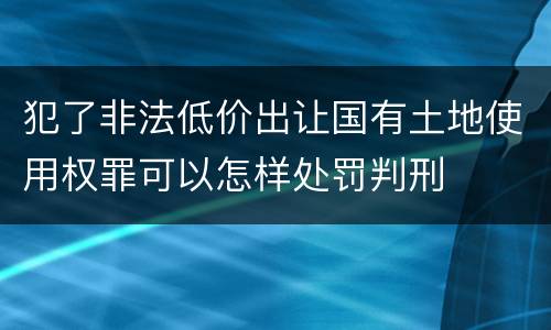 犯了非法低价出让国有土地使用权罪可以怎样处罚判刑