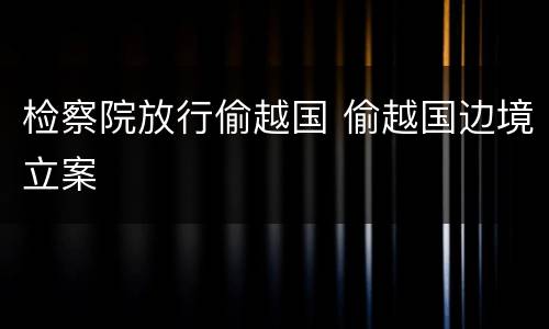 检察院放行偷越国 偷越国边境立案