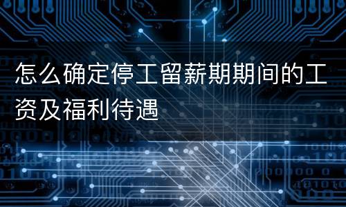 怎么确定停工留薪期期间的工资及福利待遇