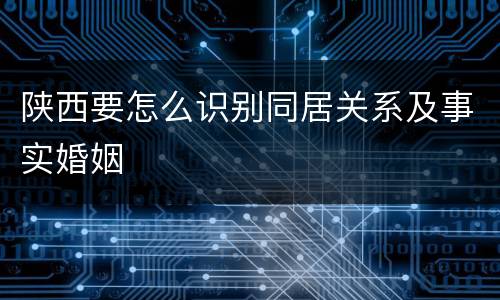陕西要怎么识别同居关系及事实婚姻