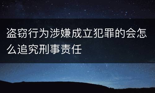 盗窃行为涉嫌成立犯罪的会怎么追究刑事责任