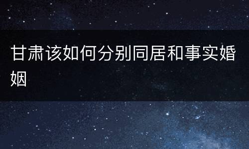 甘肃该如何分别同居和事实婚姻