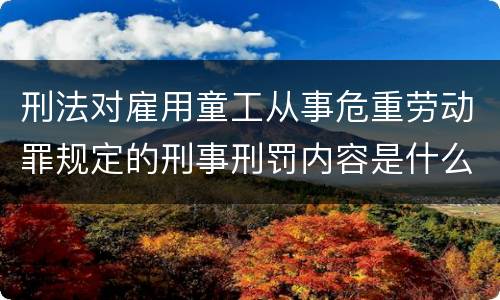 刑法对雇用童工从事危重劳动罪规定的刑事刑罚内容是什么