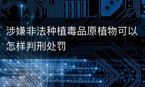涉嫌非法种植毒品原植物可以怎样判刑处罚