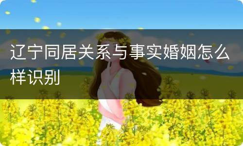 辽宁同居关系与事实婚姻怎么样识别