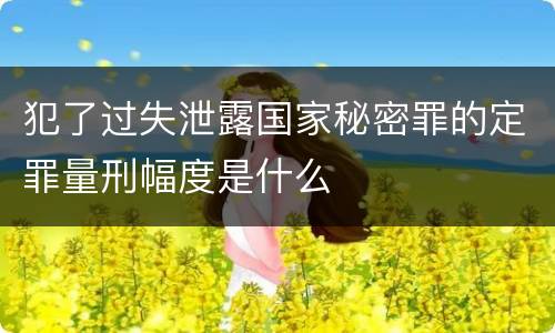 犯了过失泄露国家秘密罪的定罪量刑幅度是什么