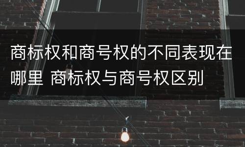 商标权和商号权的不同表现在哪里 商标权与商号权区别