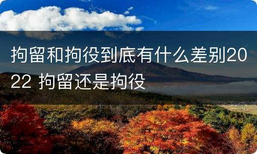 拘留和拘役到底有什么差别2022 拘留还是拘役