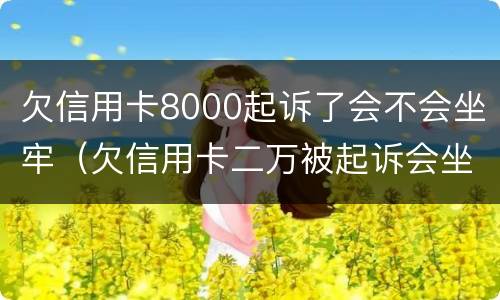 欠信用卡8000起诉了会不会坐牢（欠信用卡二万被起诉会坐牢吗）