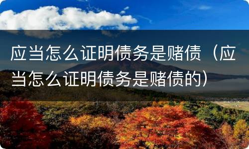 应当怎么证明债务是赌债（应当怎么证明债务是赌债的）