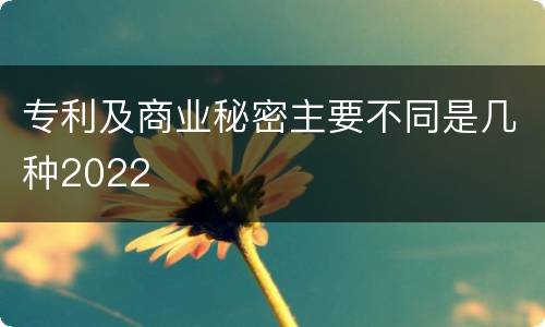 专利及商业秘密主要不同是几种2022