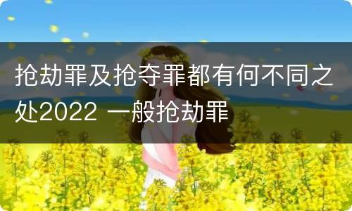 抢劫罪及抢夺罪都有何不同之处2022 一般抢劫罪