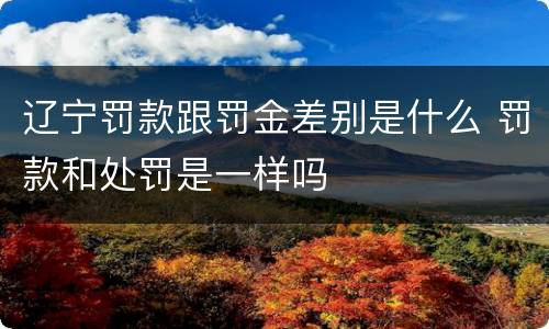 辽宁罚款跟罚金差别是什么 罚款和处罚是一样吗