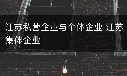 江苏私营企业与个体企业 江苏集体企业