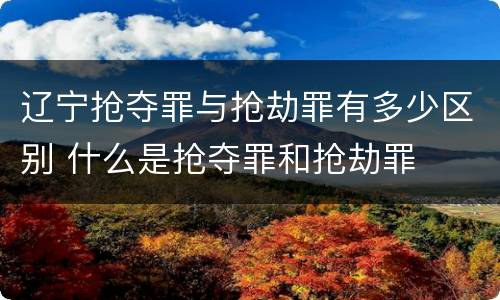 辽宁抢夺罪与抢劫罪有多少区别 什么是抢夺罪和抢劫罪