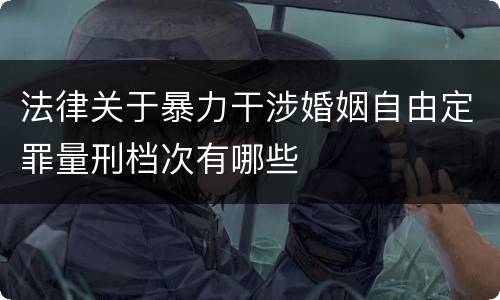 法律关于暴力干涉婚姻自由定罪量刑档次有哪些