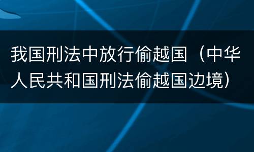 我国刑法中放行偷越国（中华人民共和国刑法偷越国边境）