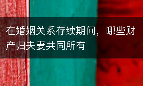 在婚姻关系存续期间，哪些财产归夫妻共同所有