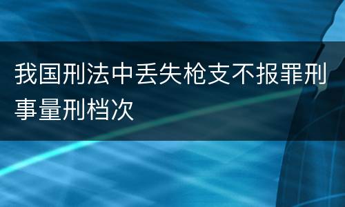 我国刑法中丢失枪支不报罪刑事量刑档次