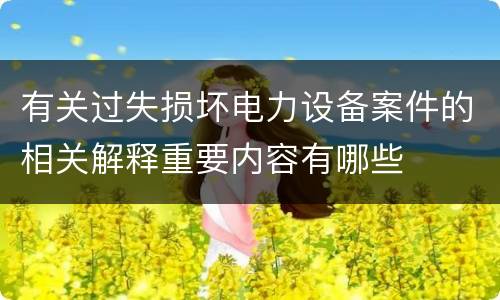 有关过失损坏电力设备案件的相关解释重要内容有哪些